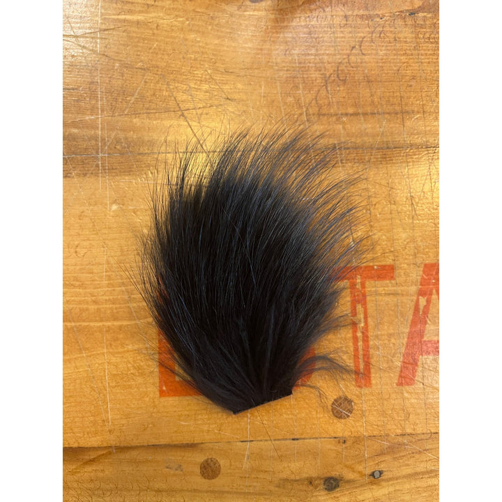 Finn Raccoon - All Colors