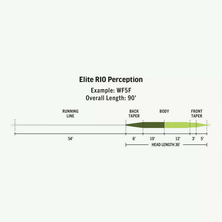 Elite Rio Perception