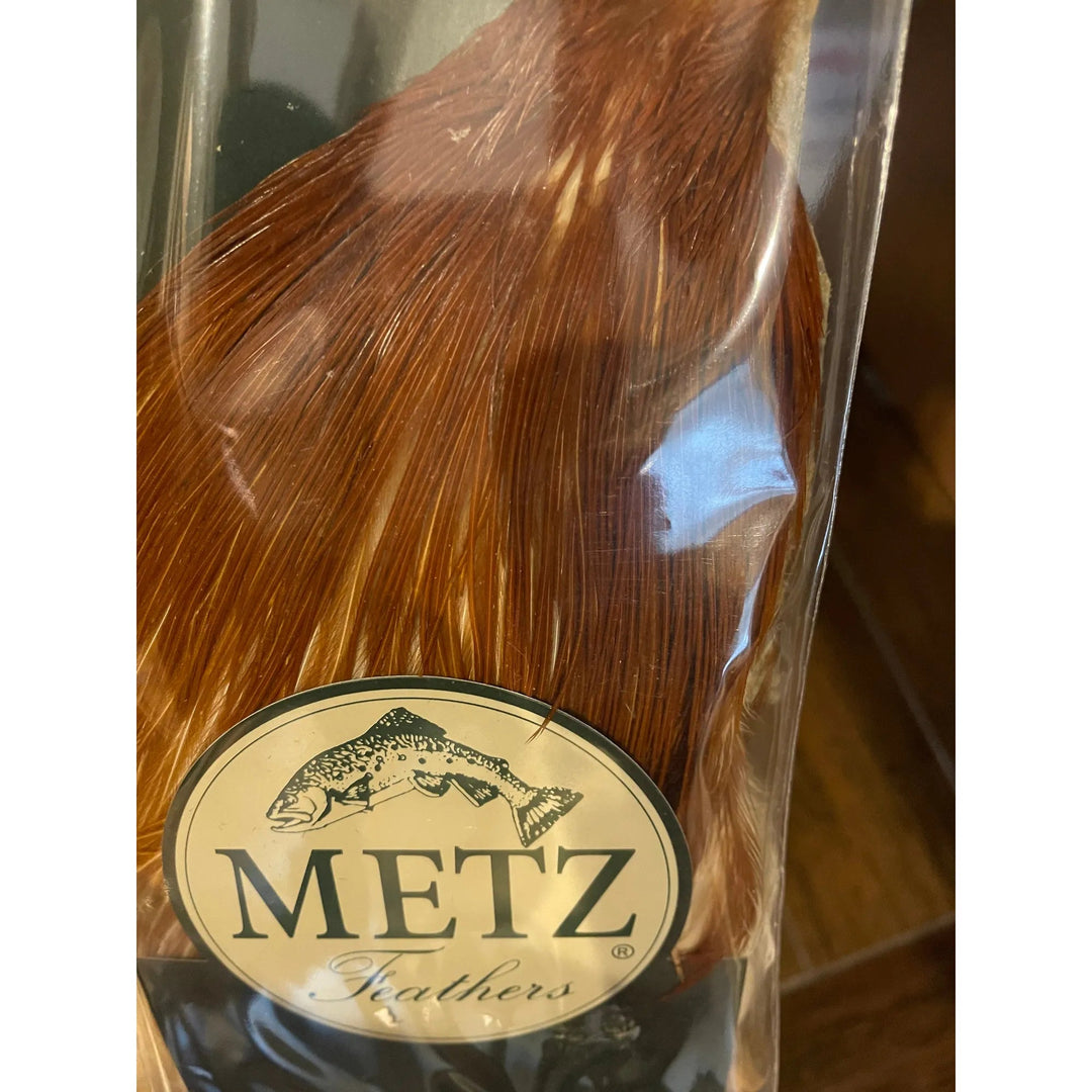 Metz #2 Neck