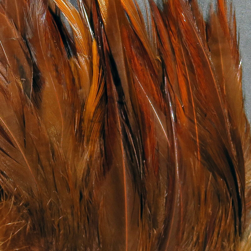 Strung Saddle Hackle  - All Colors
