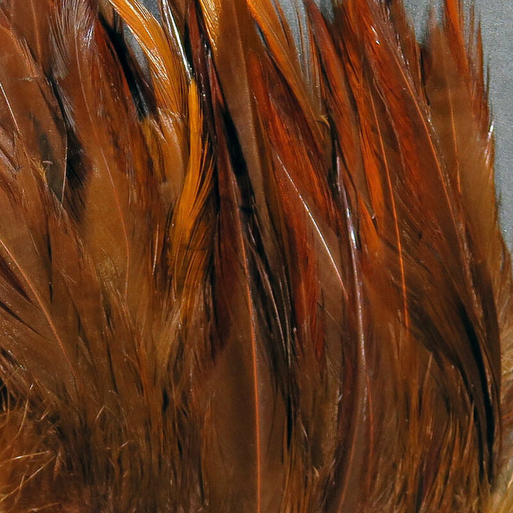 Strung Saddle Hackle  - All Colors