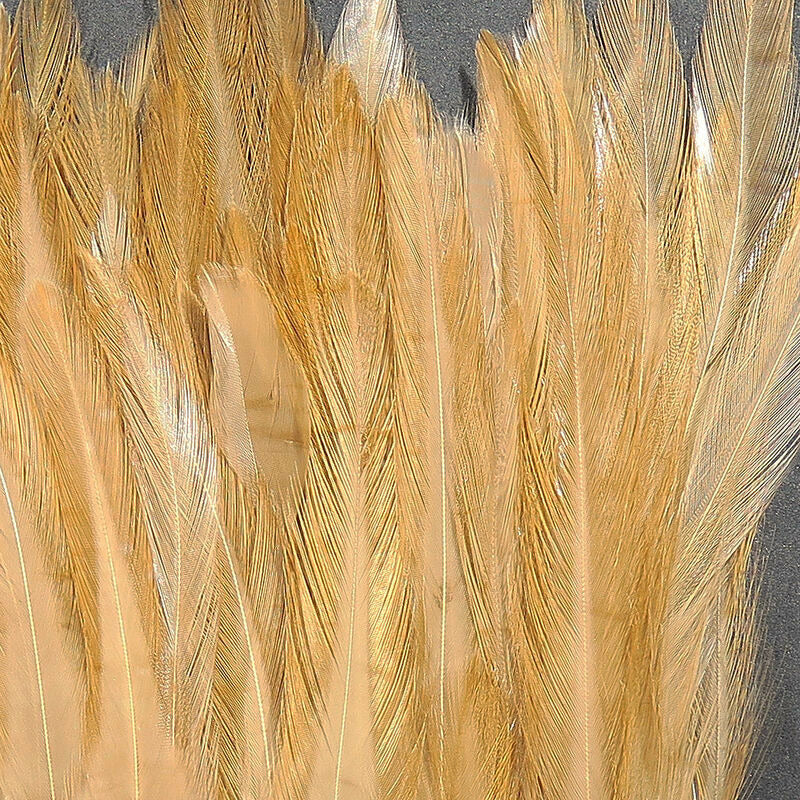 Strung Saddle Hackle  - All Colors