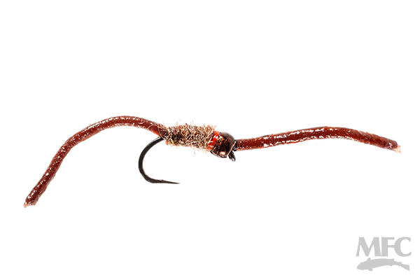 MFC - Trina's Worm