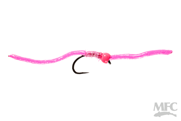 MFC - Trina's Worm
