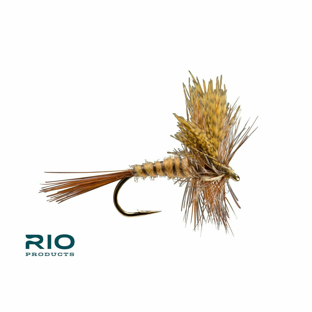 Rio - March Brown