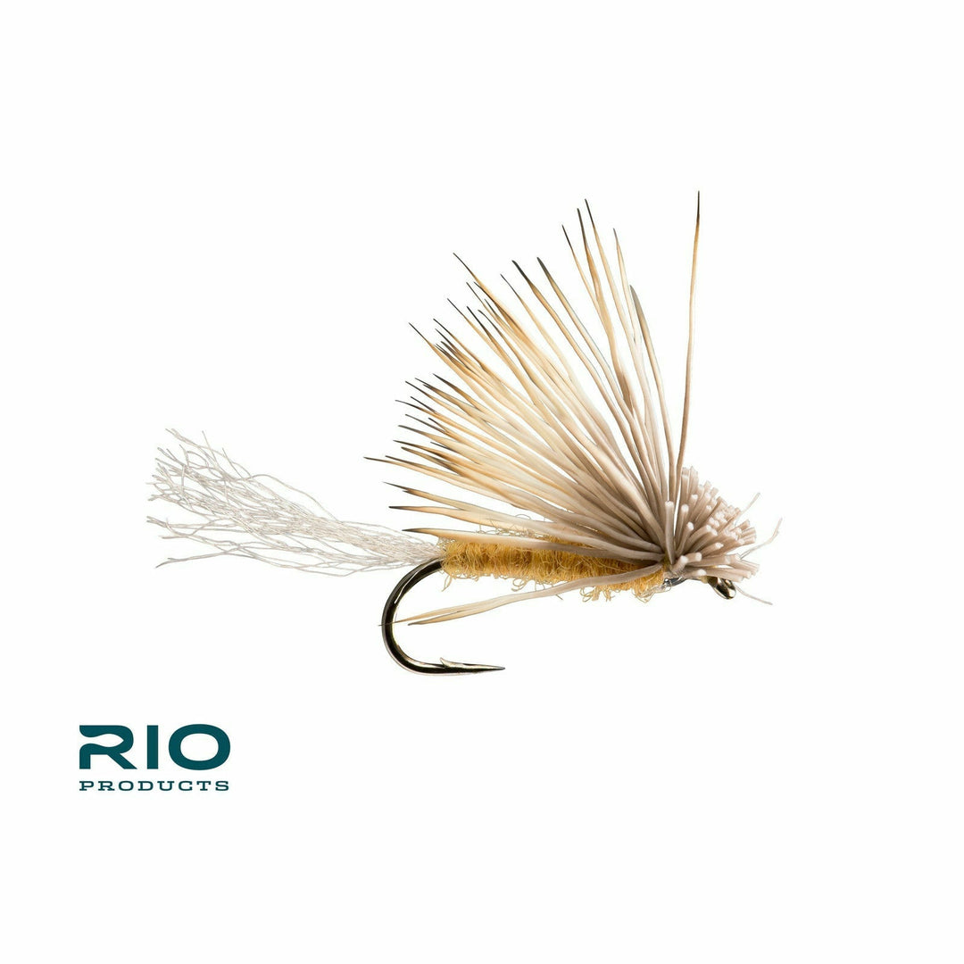 Rio - X Caddis