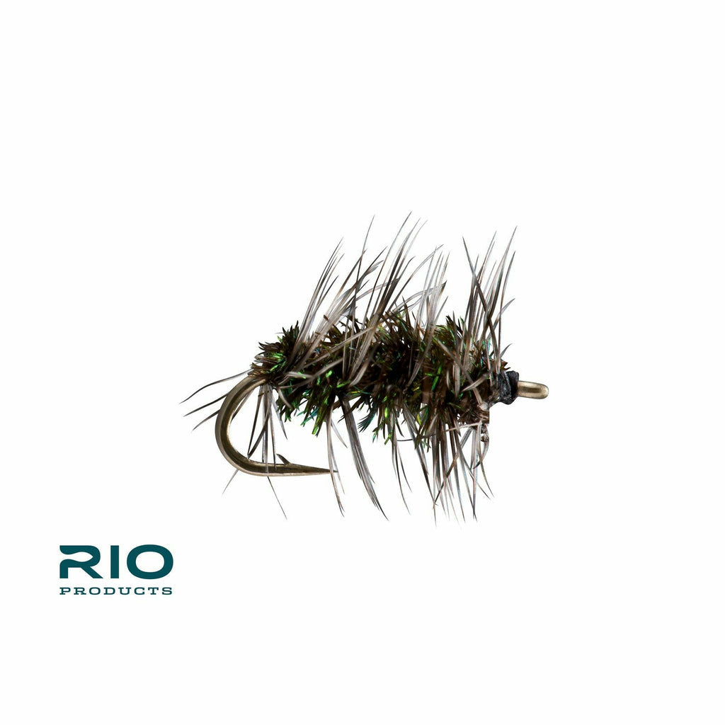 Rio - Griffith's Gnat