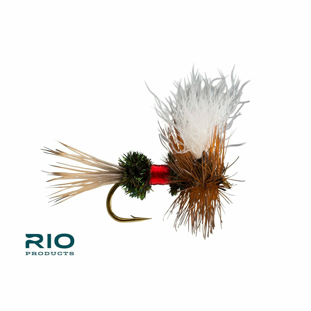 Rio - Royal Wulff