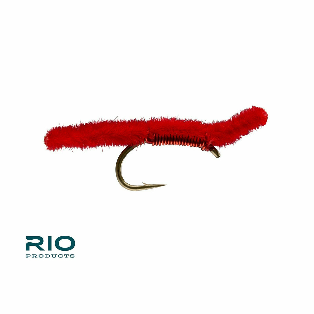 Rio - San Juan Worm