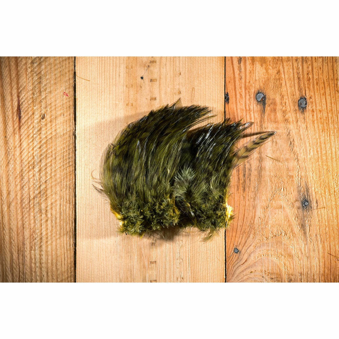 Barred Strung Neck Hackle - Olive