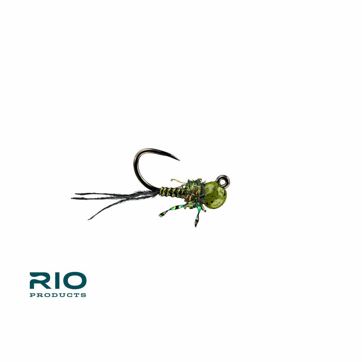 Rio - Tung Tied