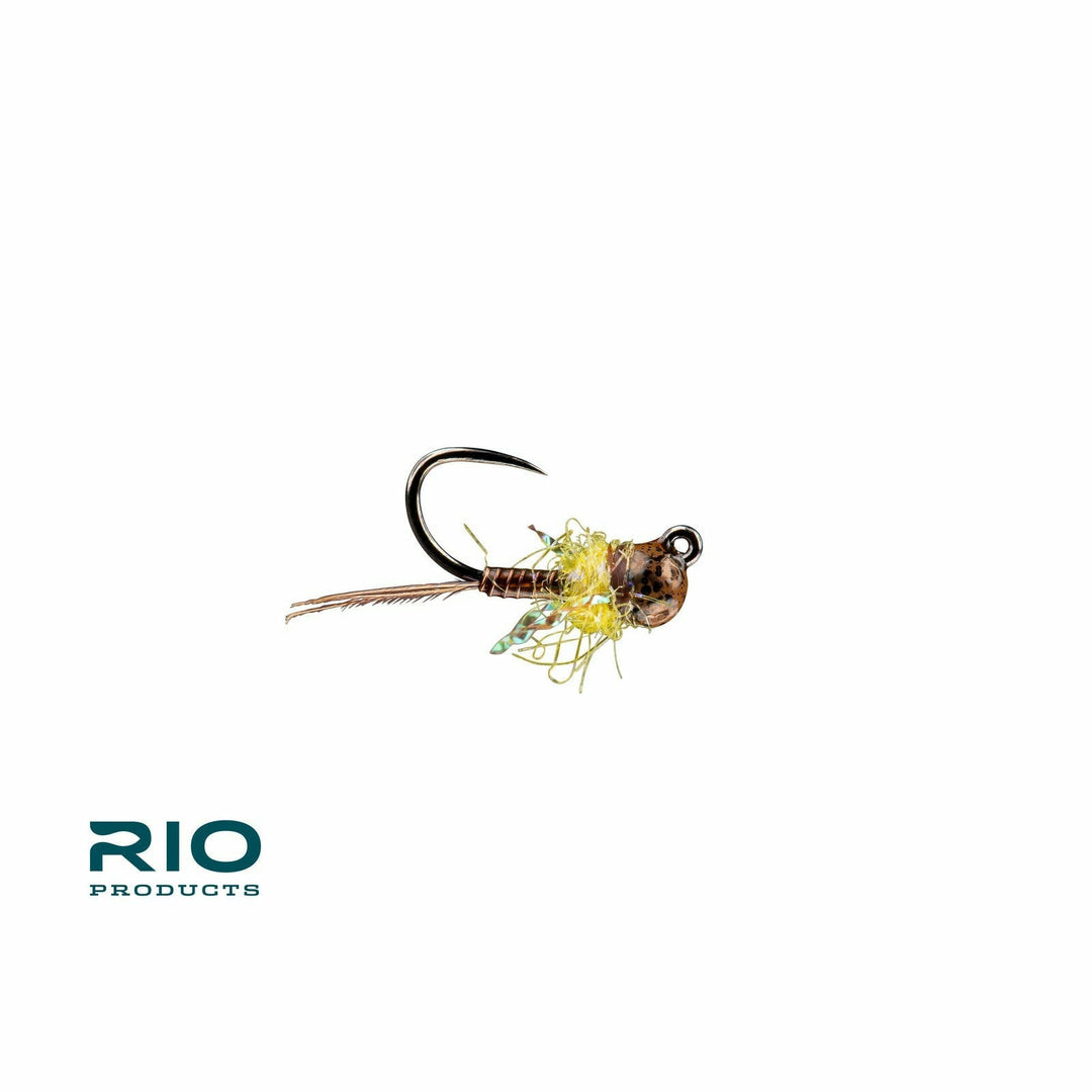 Rio - Tung Tied