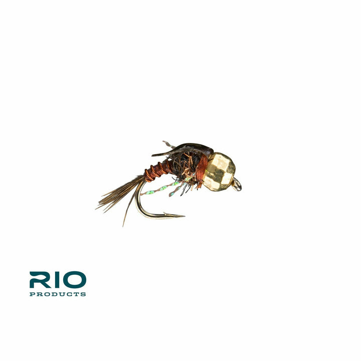 Rio - Heavy Snack