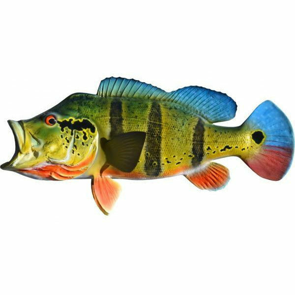 Peacock Bass Mount