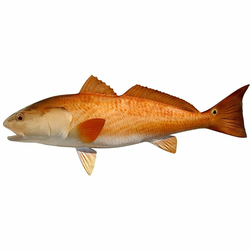 Redfish Mount