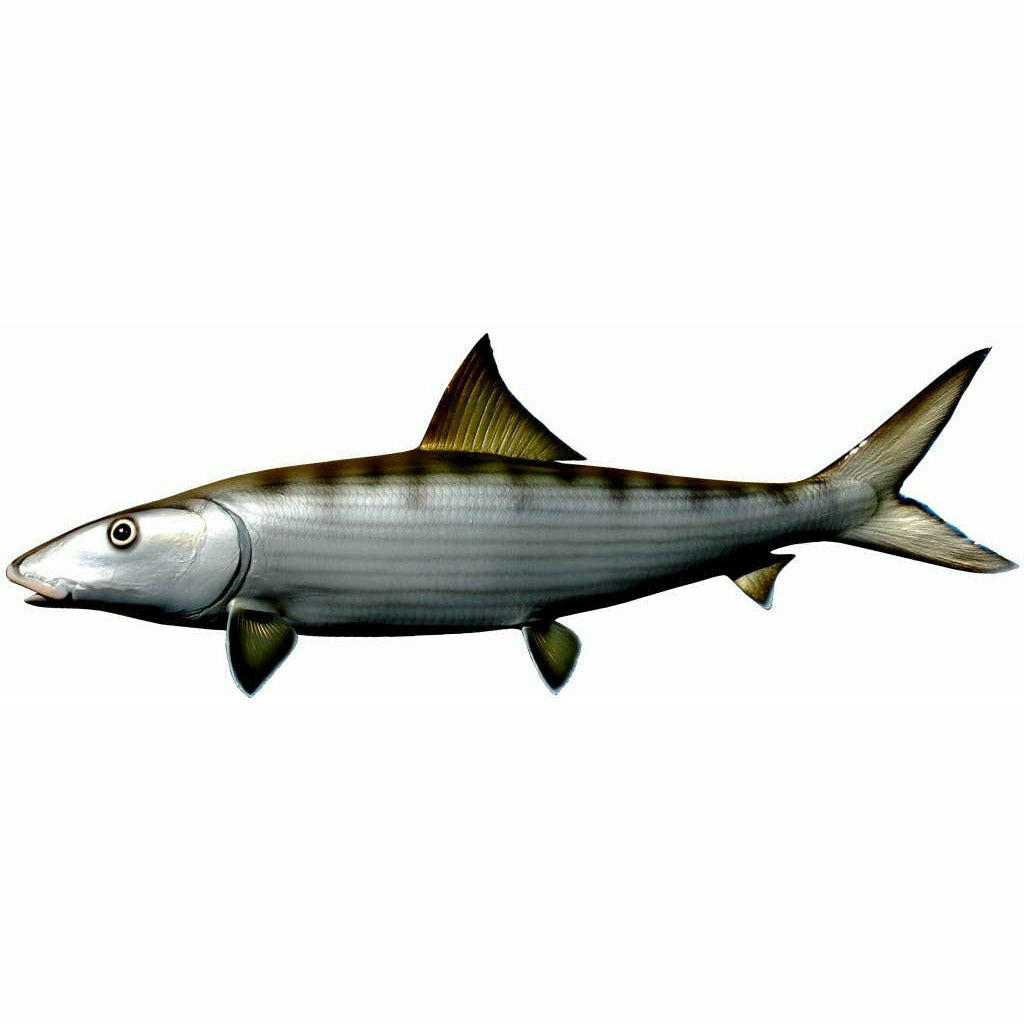 Bonefish Mount