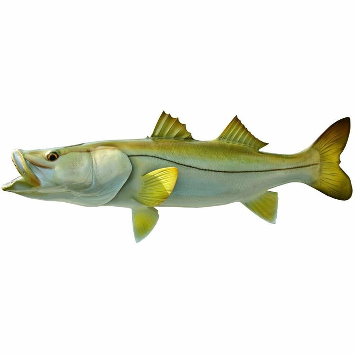 Snook Mount