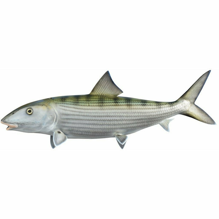 Bonefish Mount