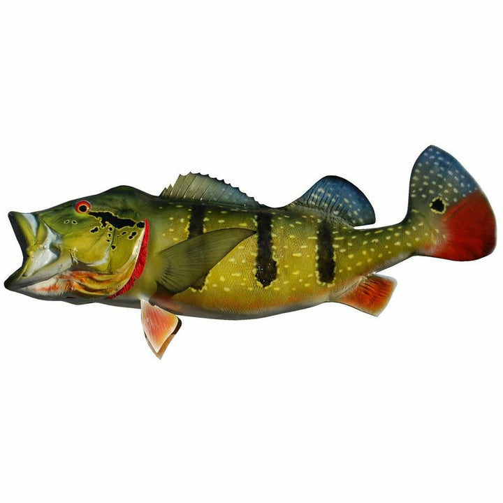 Peacock Bass Mount
