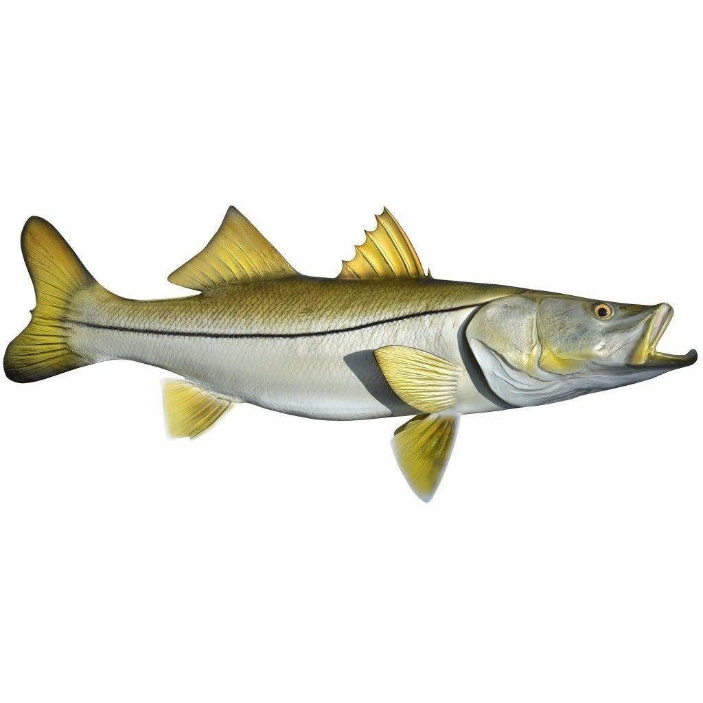 Snook Mount