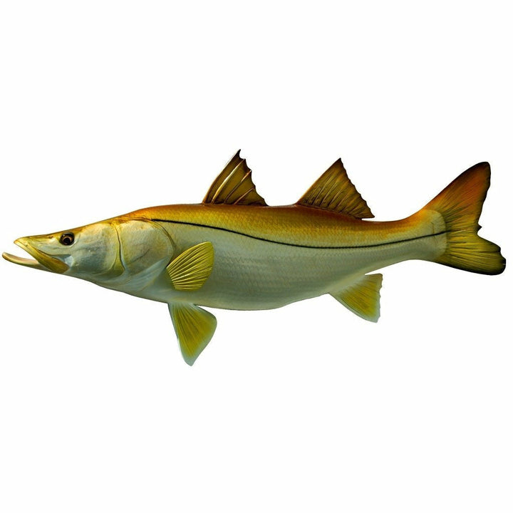 Snook Mount