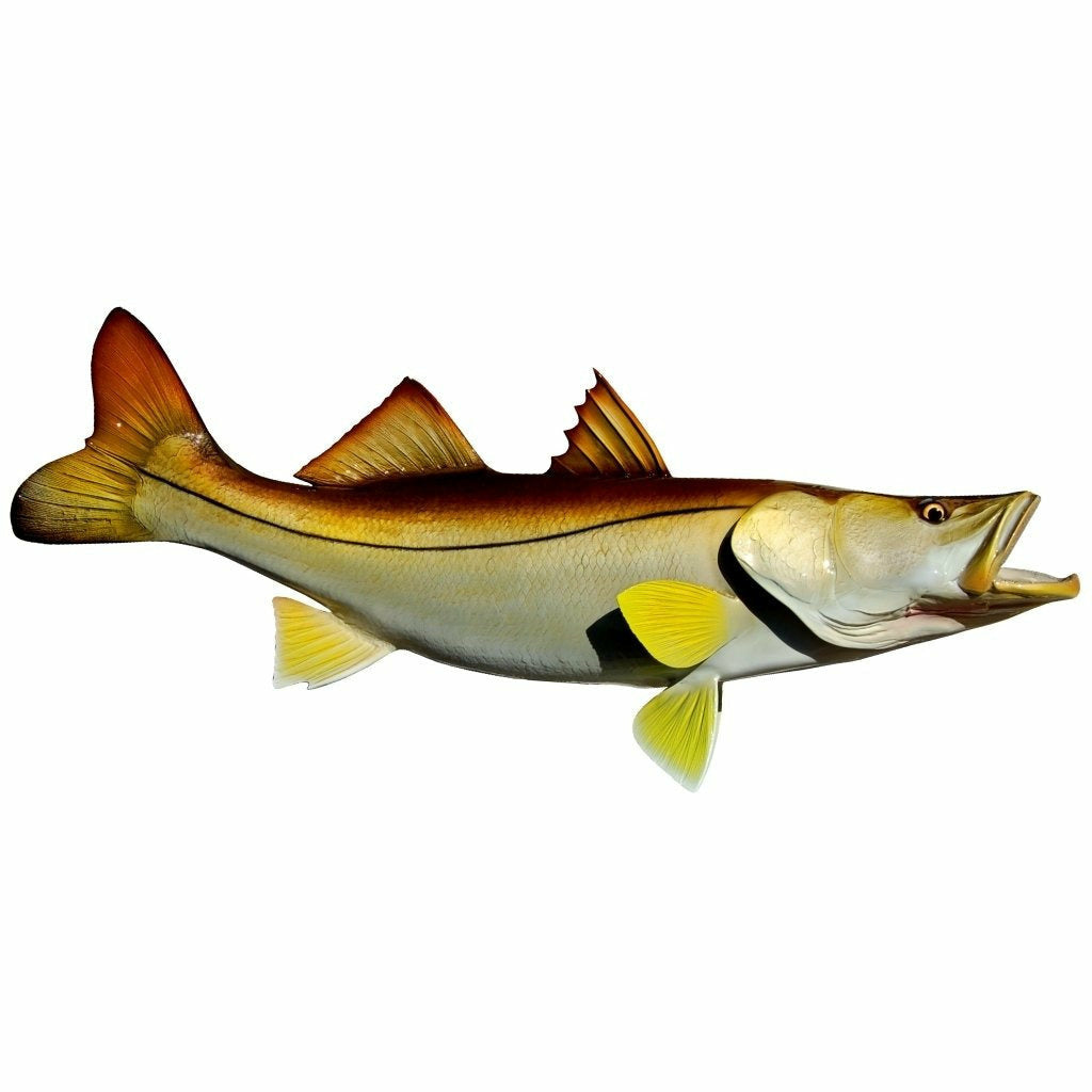 Snook Mount