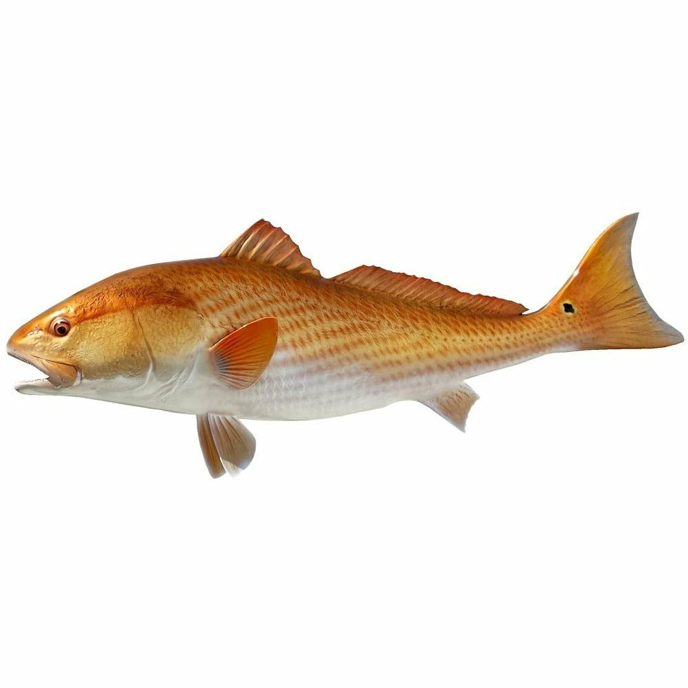 Redfish Mount