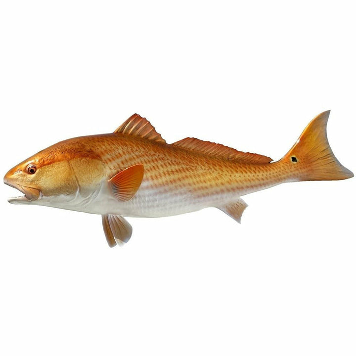 Redfish Mount