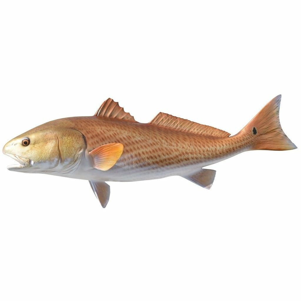 Redfish Mount
