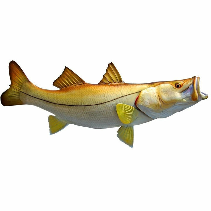 Snook Mount