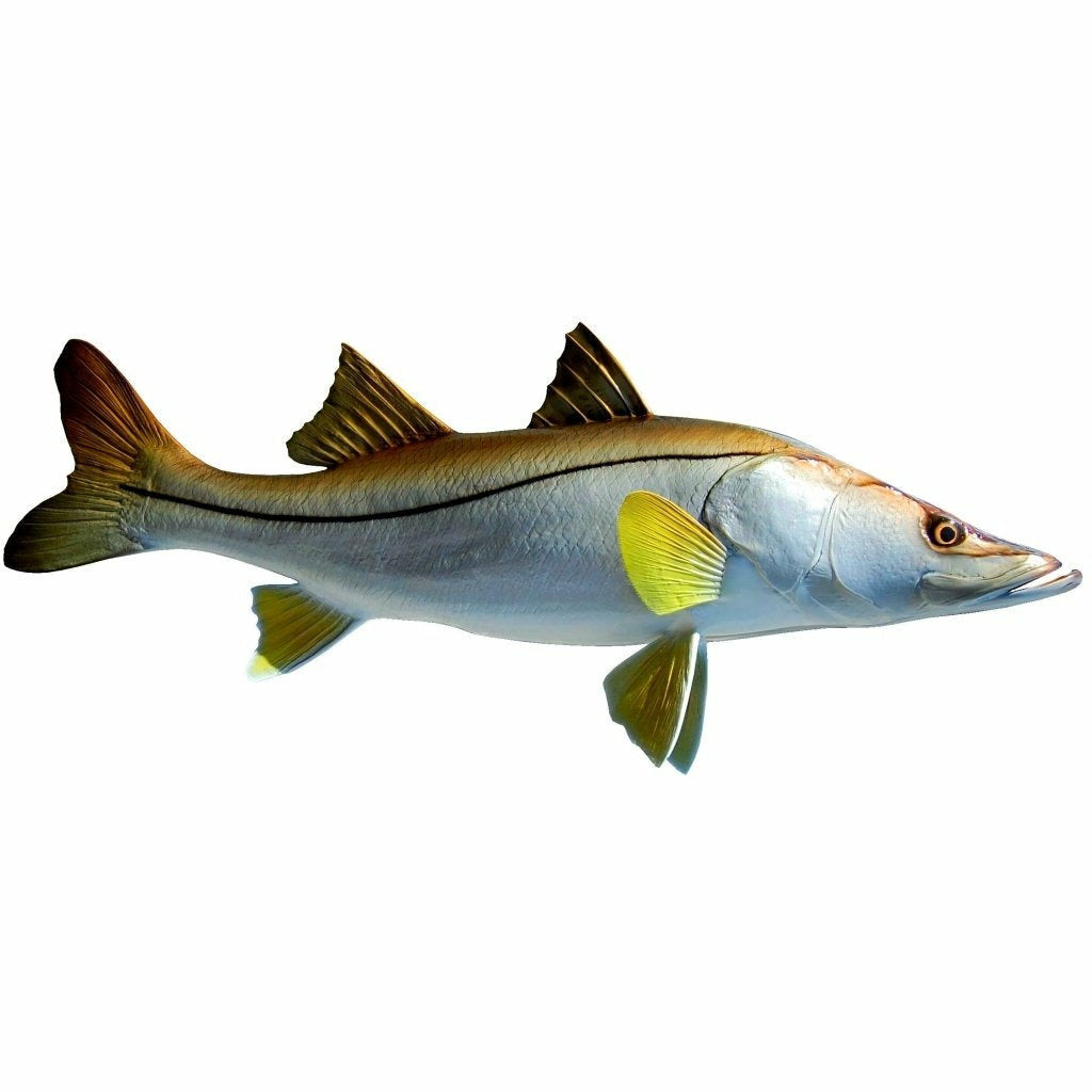 Snook Mount