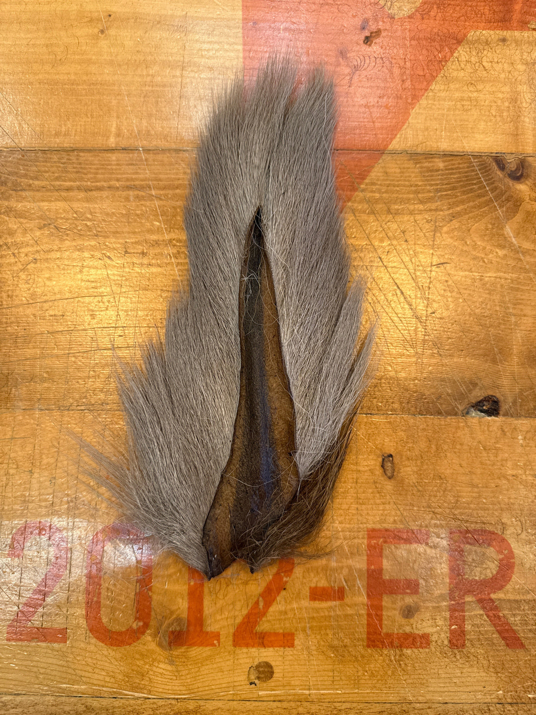 Prime Deer Tails
