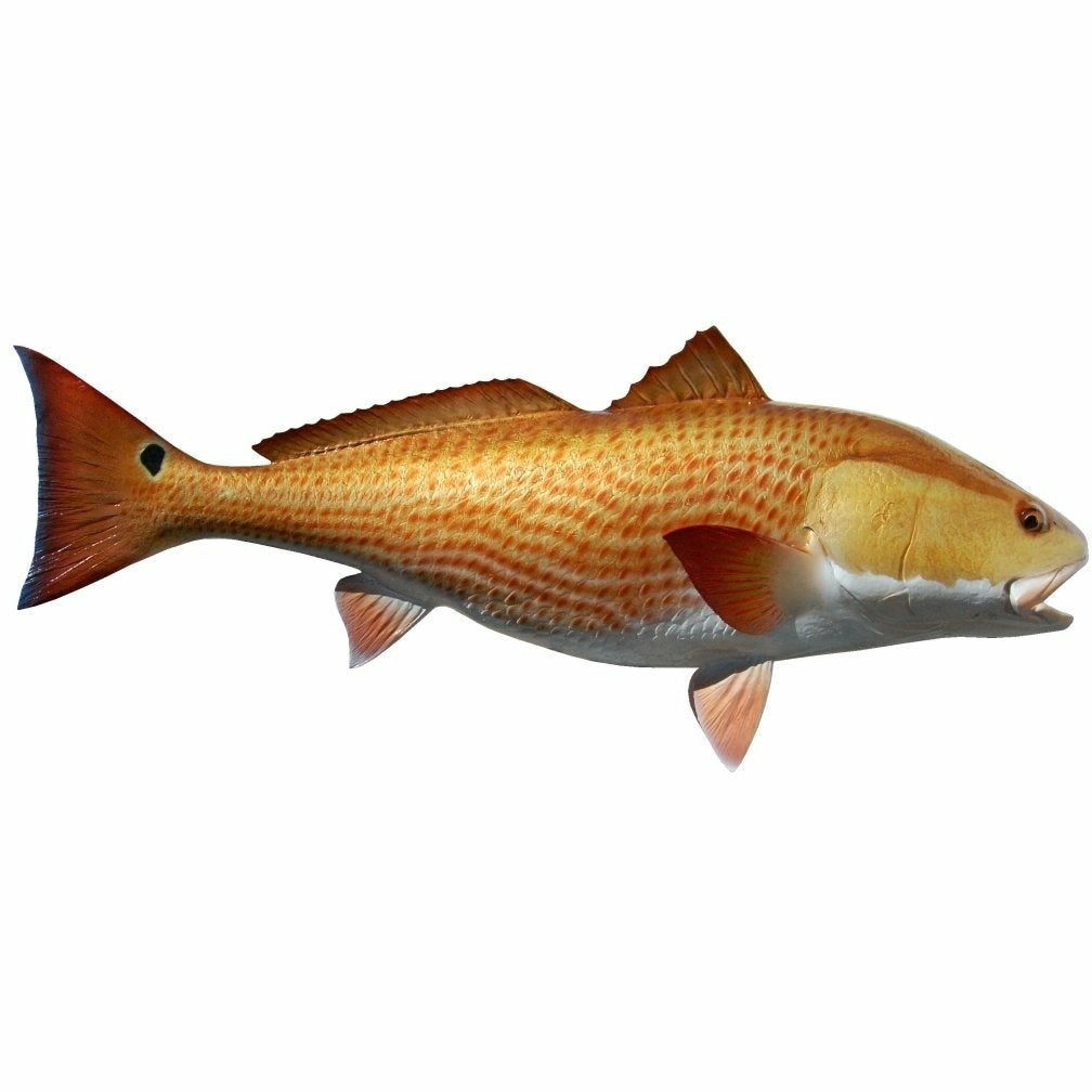 Redfish Mount