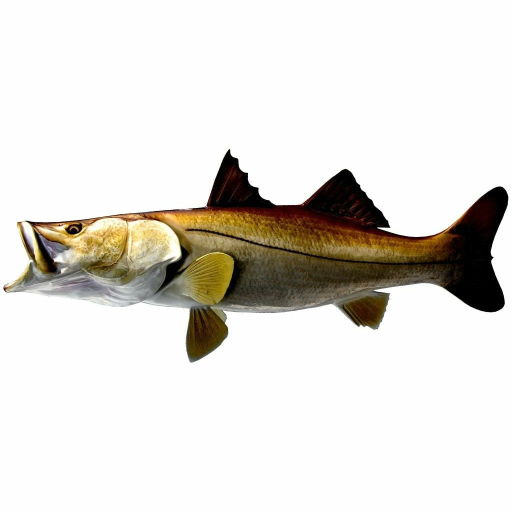 Snook Mount