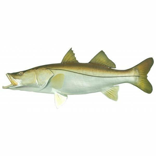 Snook Mount