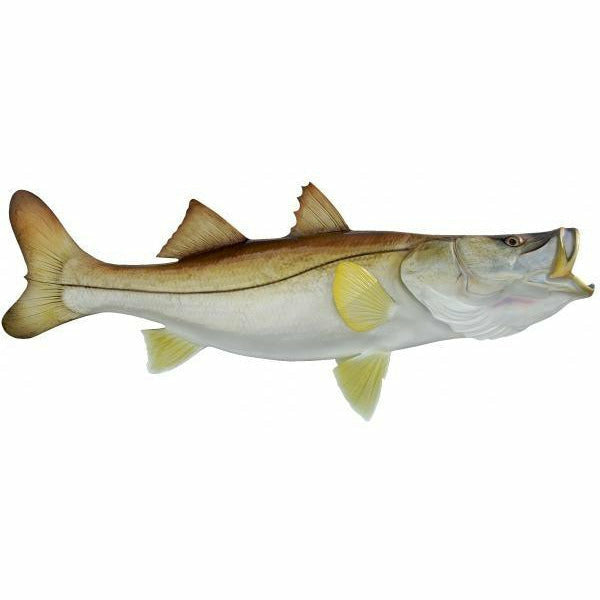 Snook Mount