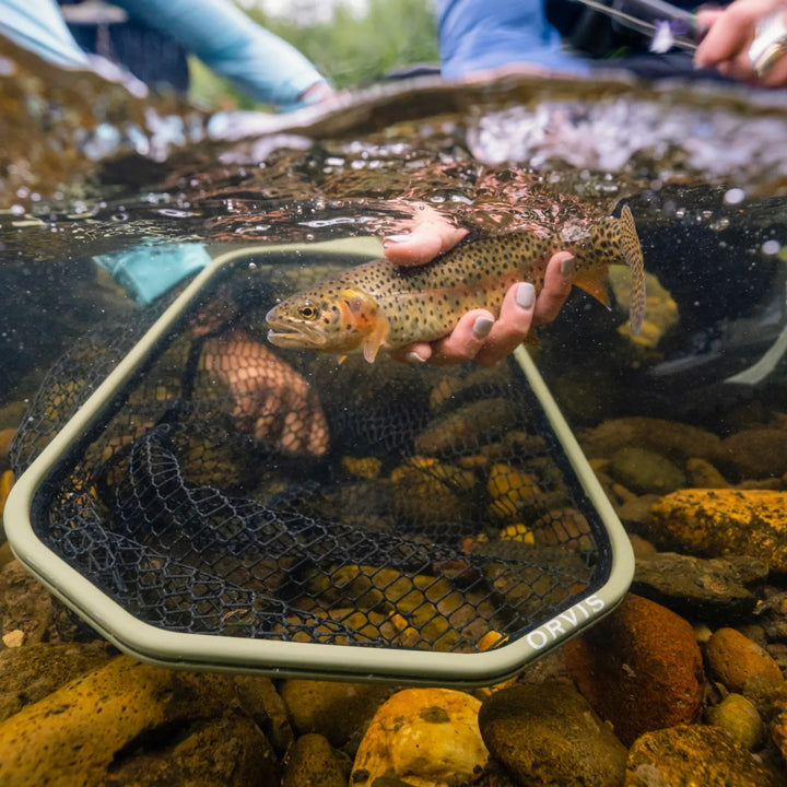 Orvis- Wide Mouth Guide Net