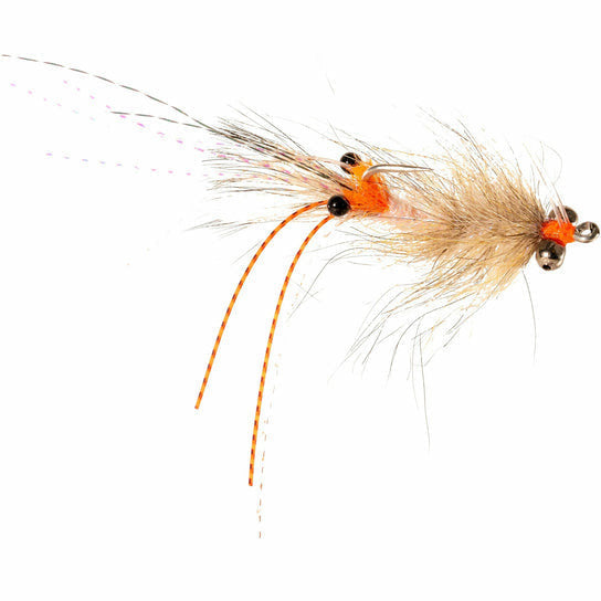 Enrico Puglisi Spawning Shrimp - Coyote
