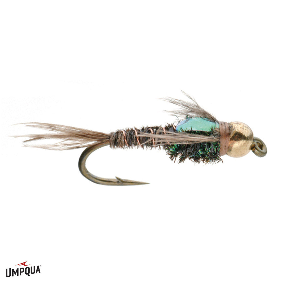 Umpqua - Flashback Pheasant Tail TB