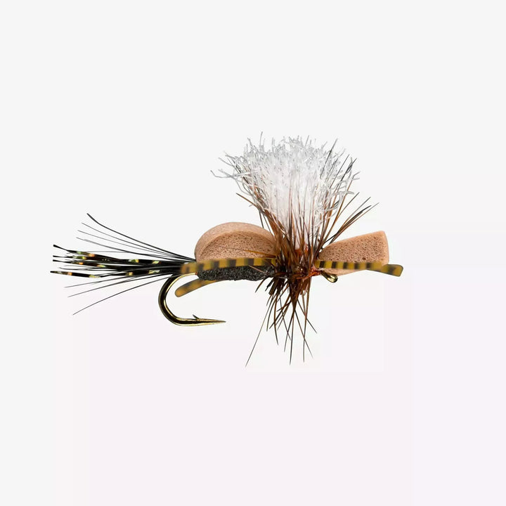 Rio - Dry Humper