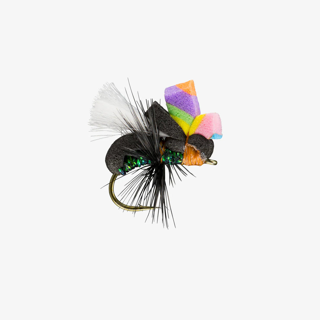 Rio - Glo Ant