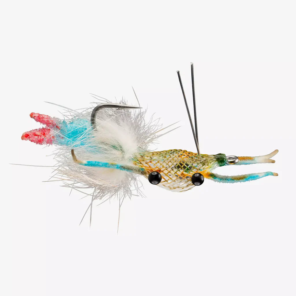 Fiddler on the Reef Blue Crab -6PK
