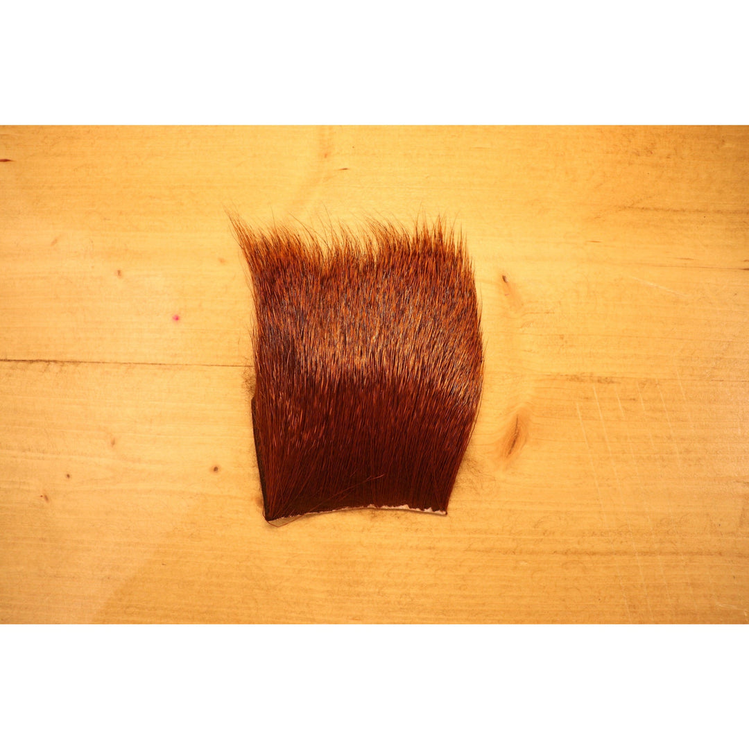 Deer Body Hair