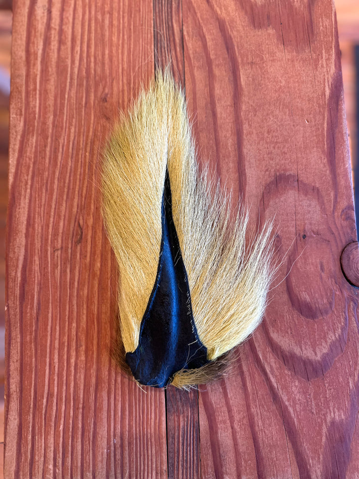 Prime Deer Tails