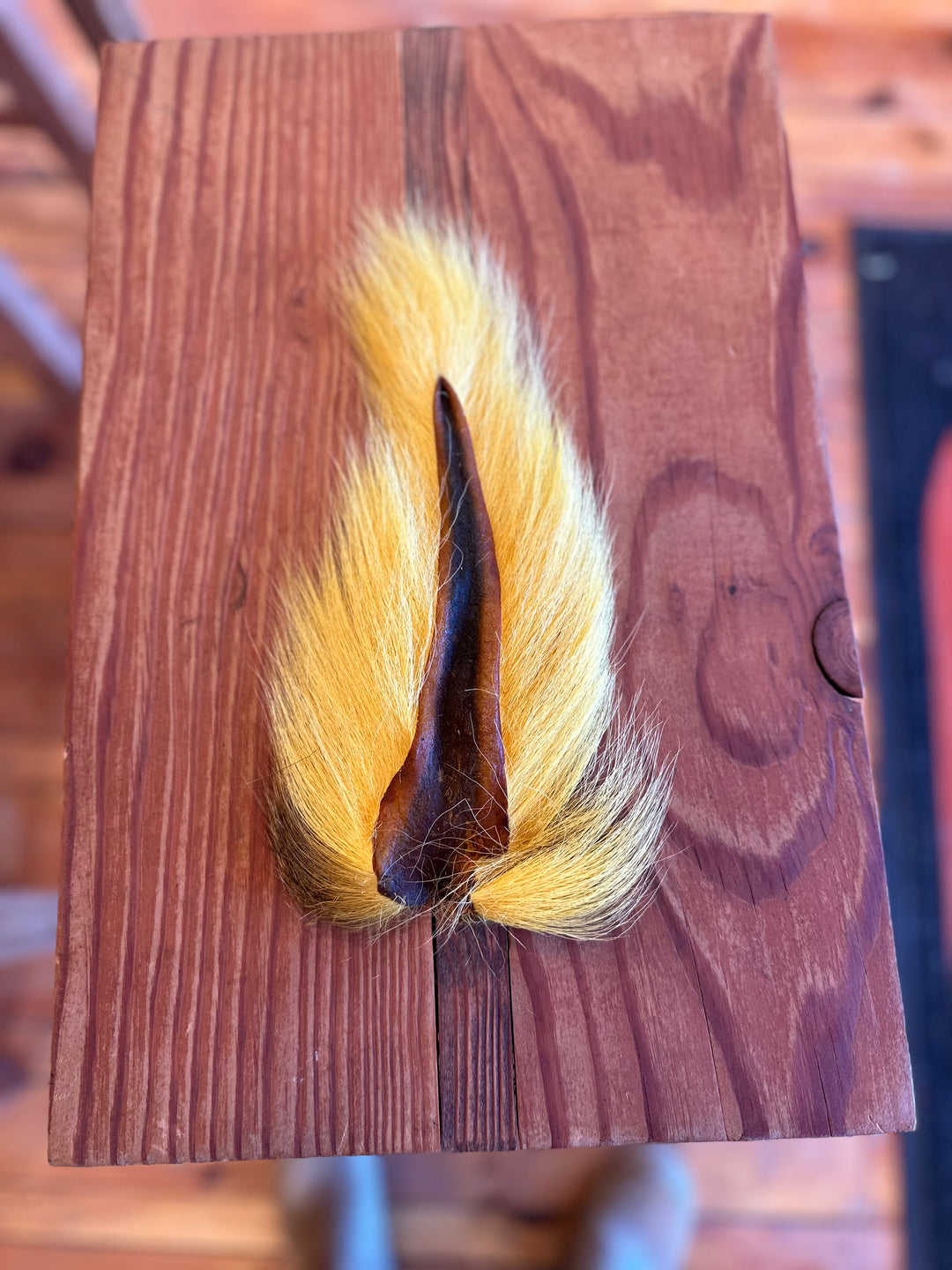 Prime Deer Tails