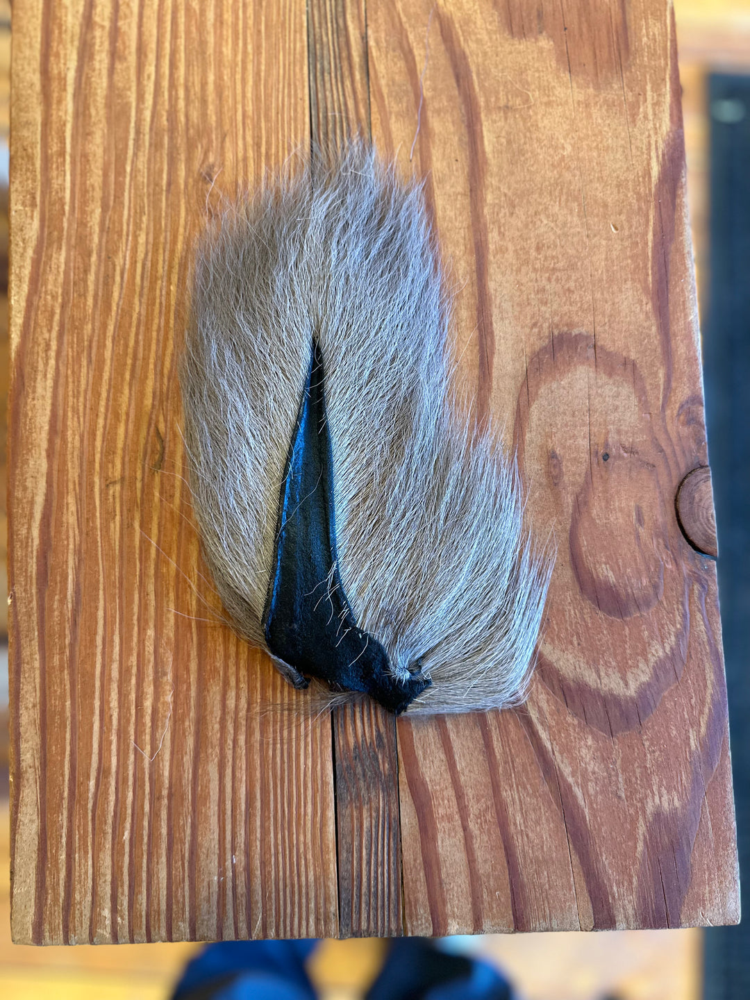 Prime Deer Tails