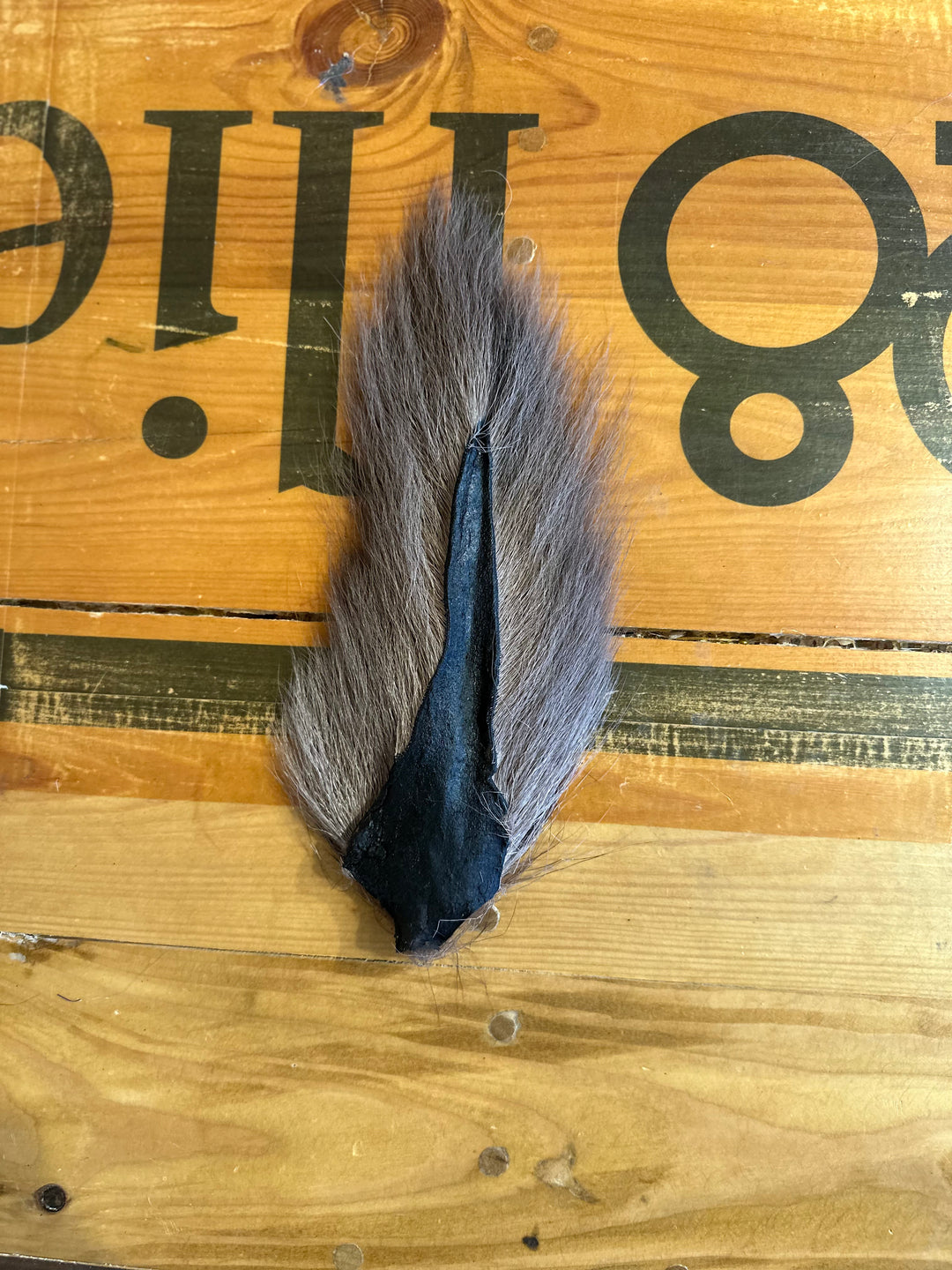 Prime Deer Tails