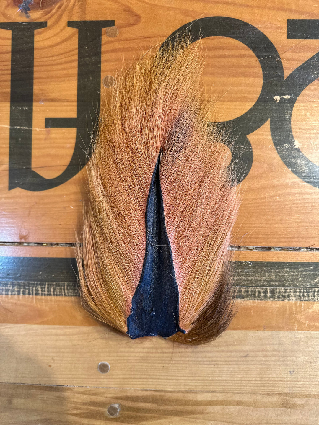 Prime Deer Tails