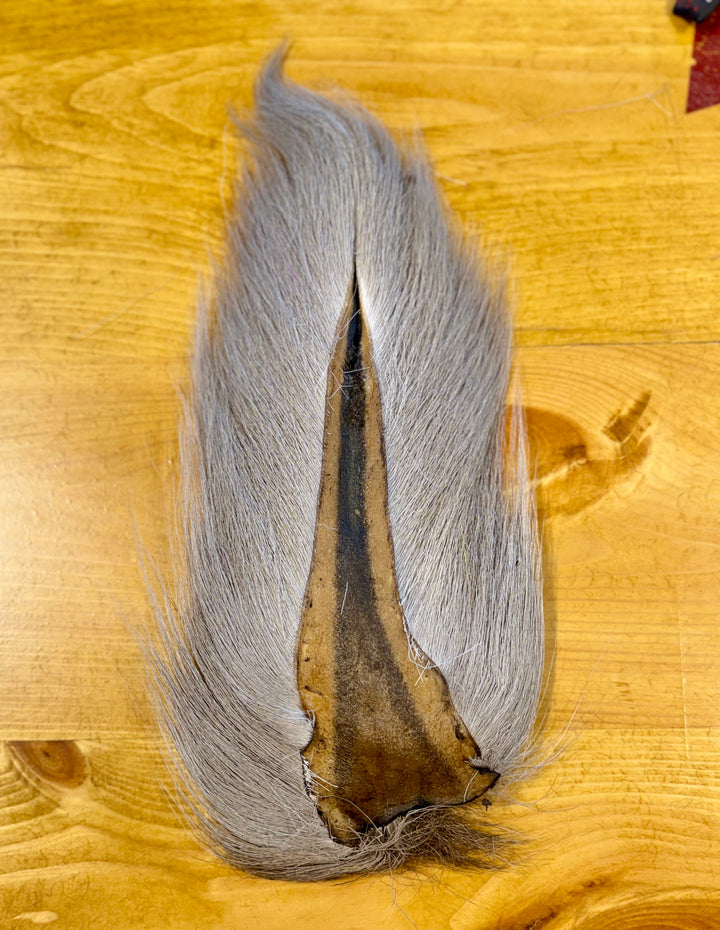 Prime Deer Tails