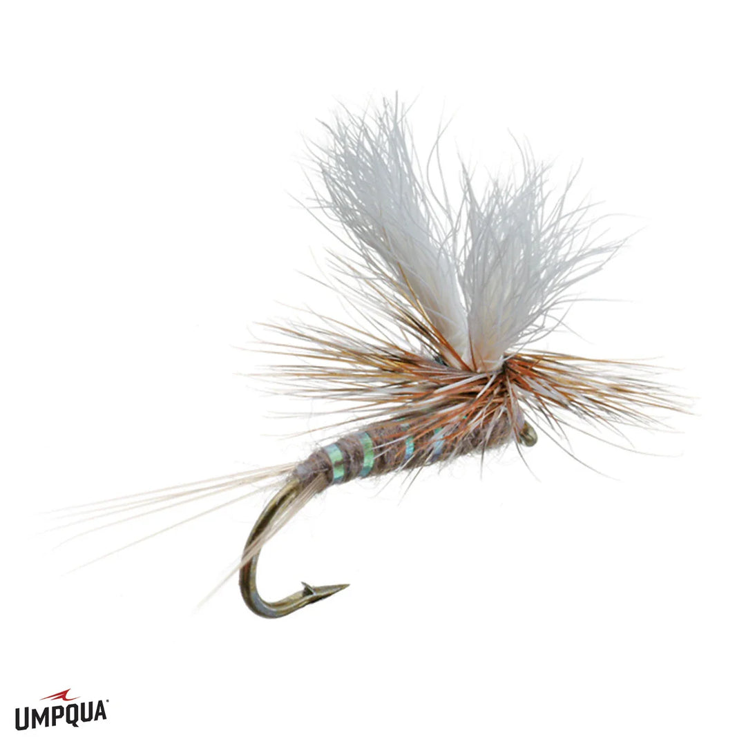 Umpqua - Parawulff